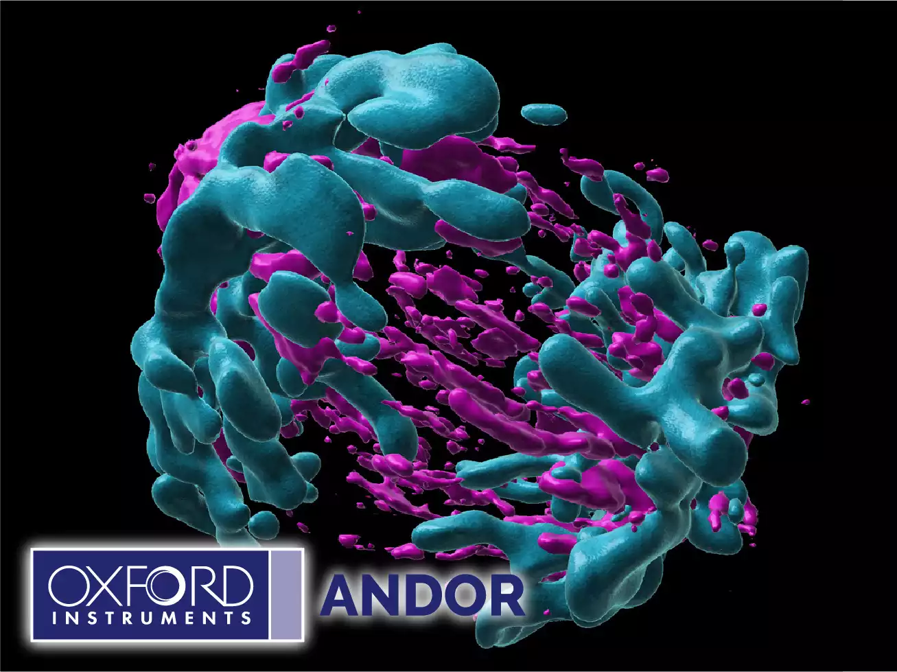 Andor Benchtop Confocal